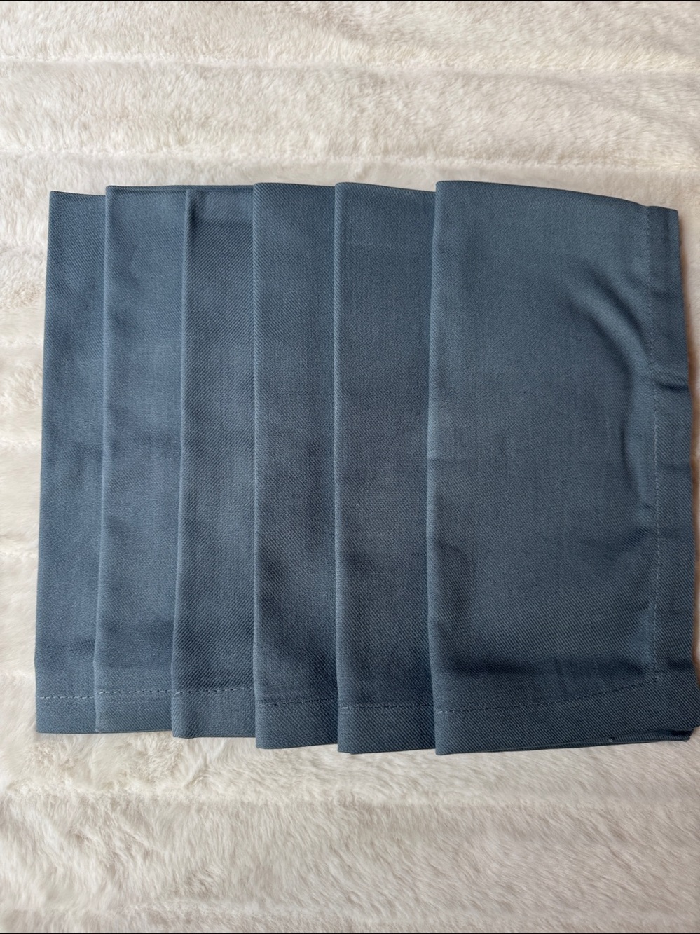 Cost Plus World Market Blue Napkin Set of 6 NWT